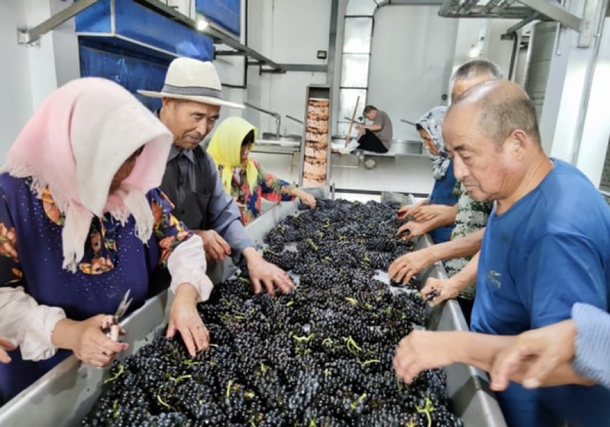 China vintner makes Robouchon wine list